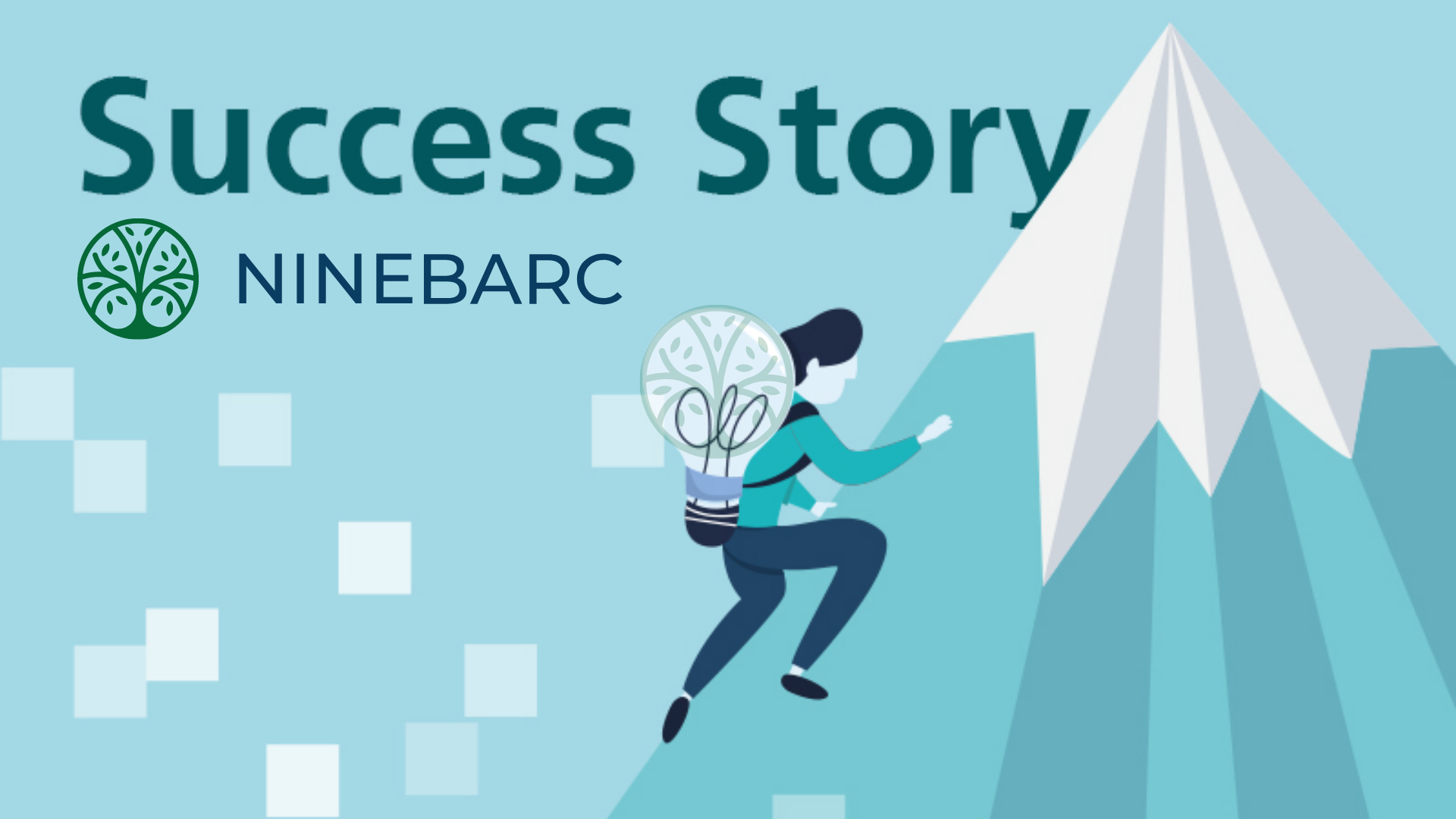 Success story ninebarc