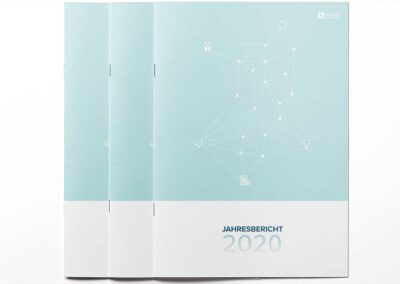 InsurLab Germany Annual Report 2020
