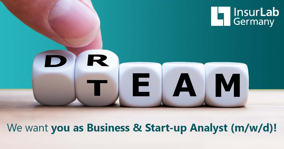 Job als Business & Start-up Analyst