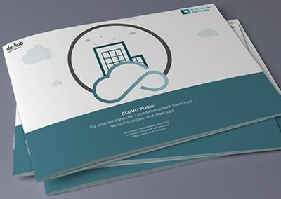 Whitepaper "Cloud Push: For successful collaboration between insurance companies and start-ups"
