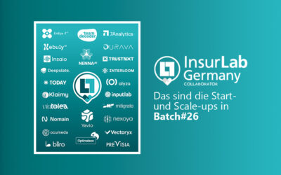 Collaborator Batch#26: Das sind unsere Start- und Scale-ups